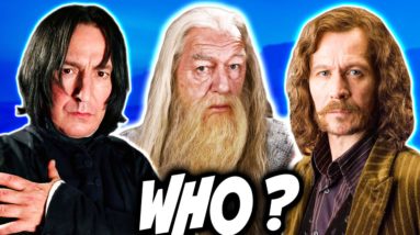 WHO Was Harry's Biggest Mentor? Top 5 RANKED - Harry Potter Theory
